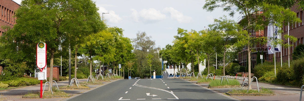 Die begrünte Otto-Hahn-Straße im Technologiepark